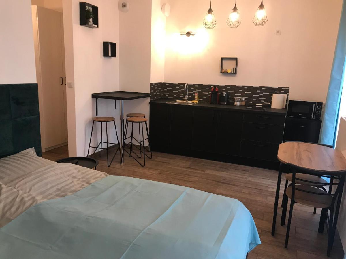 Steam Park Rakowicka Koper Apartment Kraków Zewnętrze zdjęcie